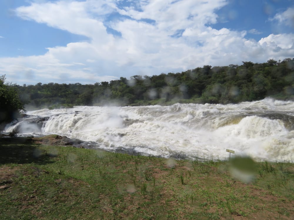 Bottom of Murchison falls