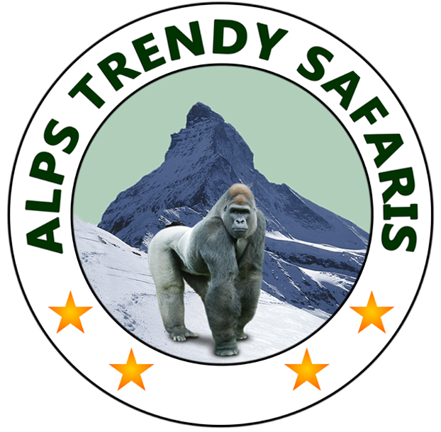 Terms and Conditions at alps-trendy-safaris
