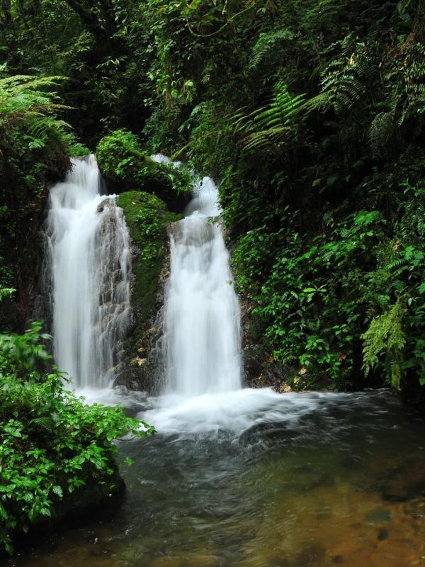Waterfalls in Bwindi forest