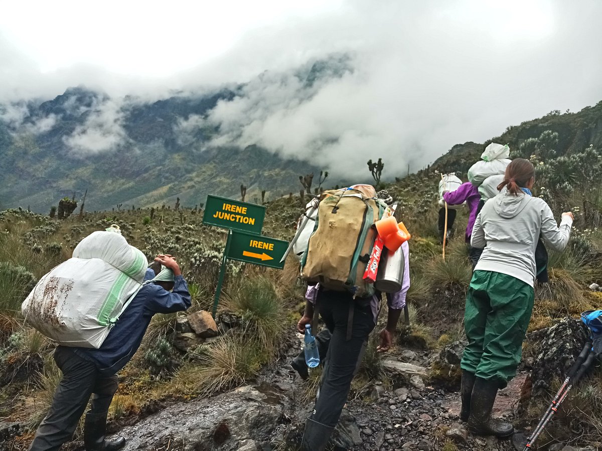 Climbing Mount Rwenzori