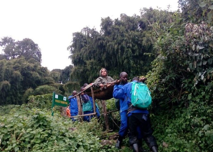 Gorilla Trekking experience in Bwindi Impenetrable forest for the disabled.