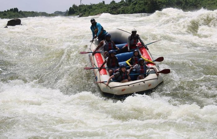 White water rafting
