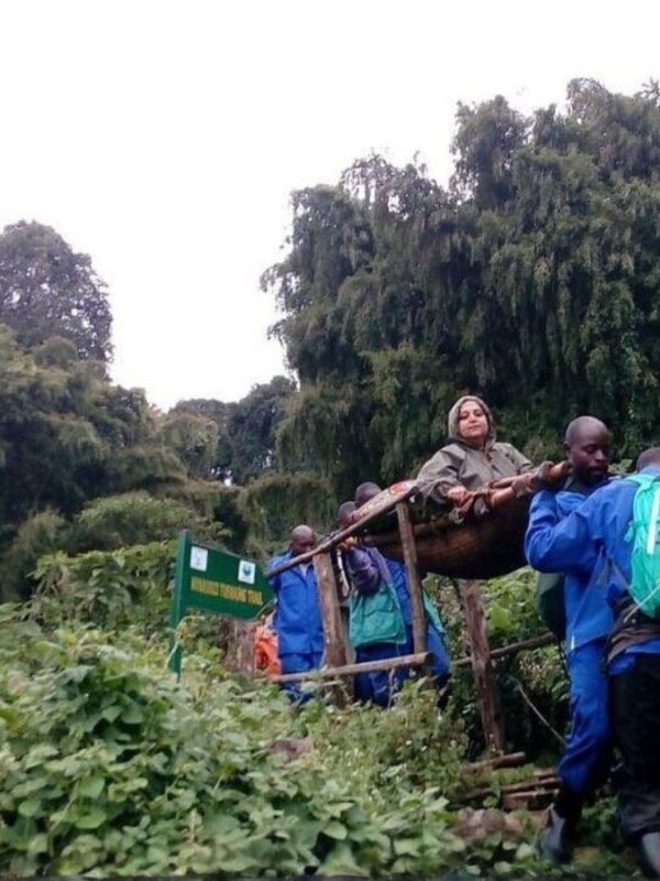 Gorilla Trekking experience in Bwindi Impenetrable forest for the disabled.