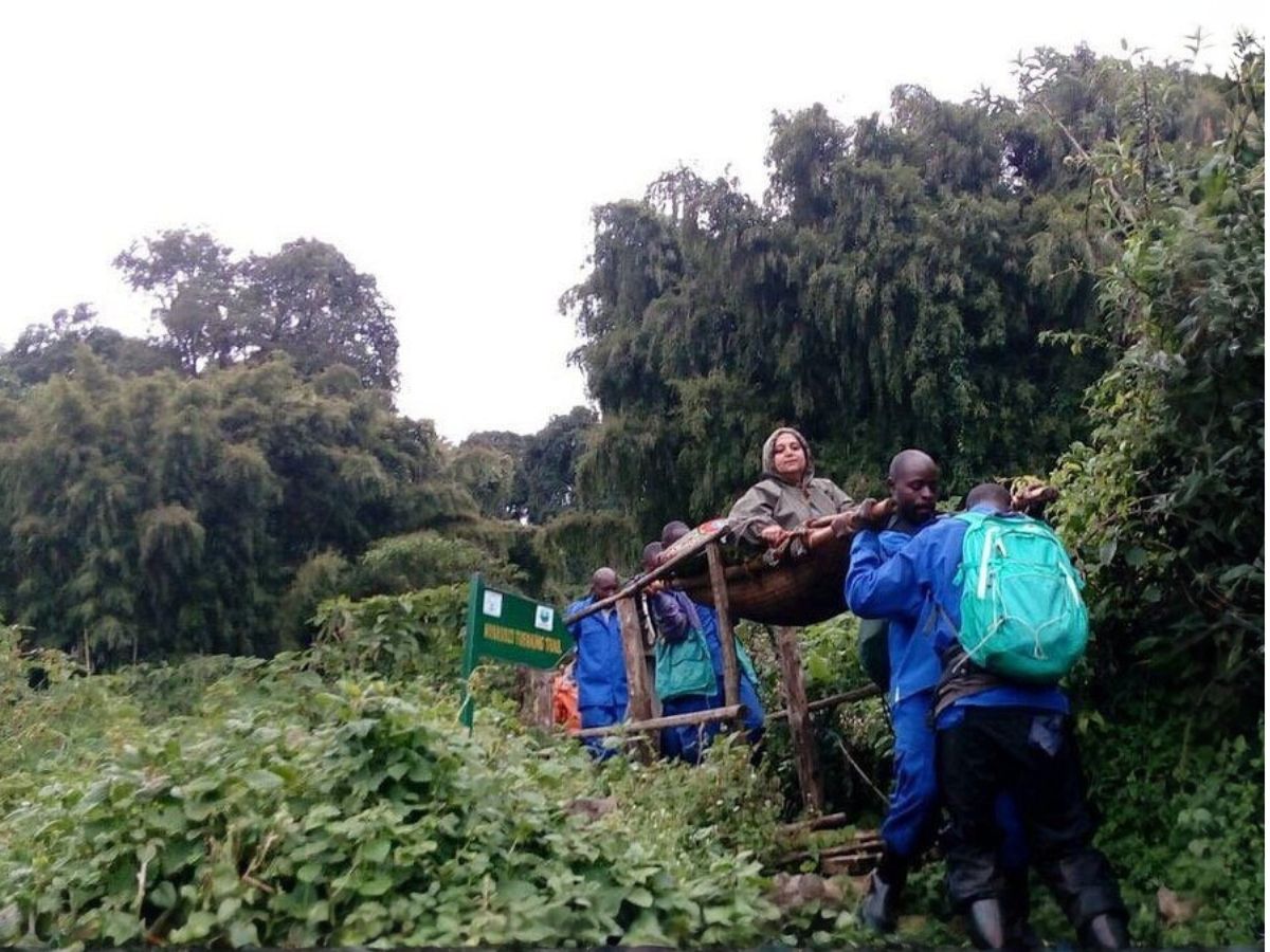 Gorilla Trekking experience in Bwindi Impenetrable forest for the disabled.