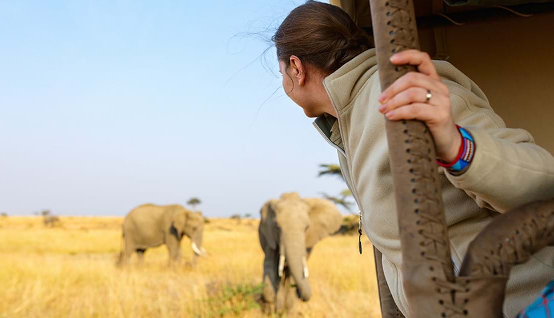 Best Time for Uganda Safari