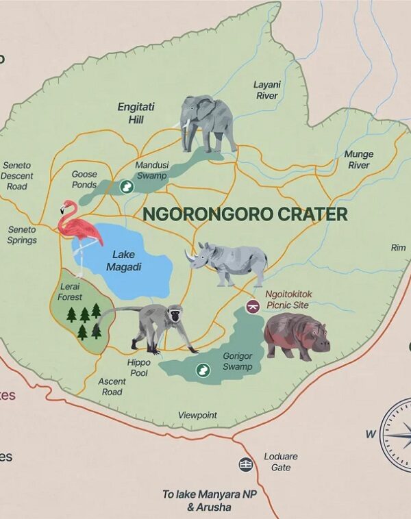 Ngorongoro Crater Safari Guide