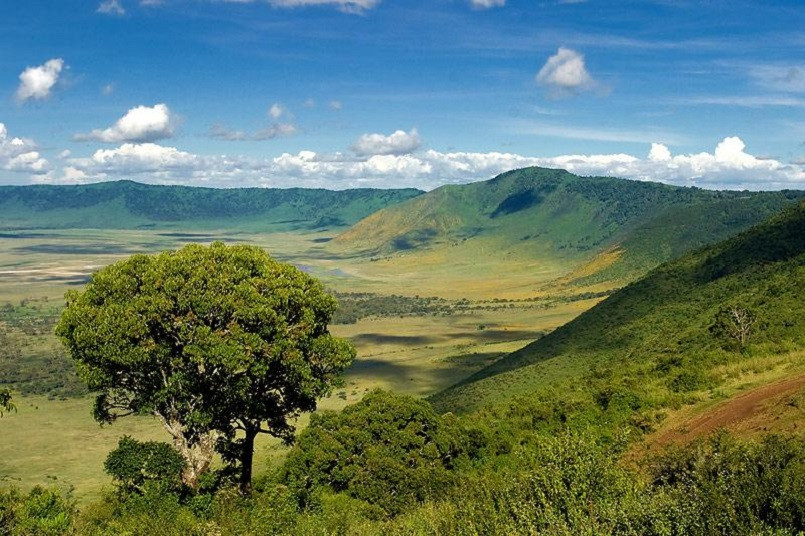 Ngorongoro Crater Safari Guide