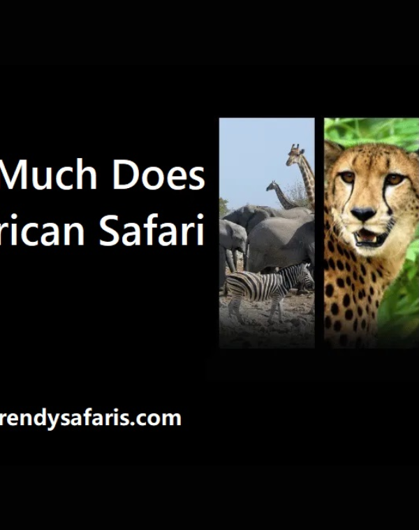 uganda-vs-rwanda-safari-comparison